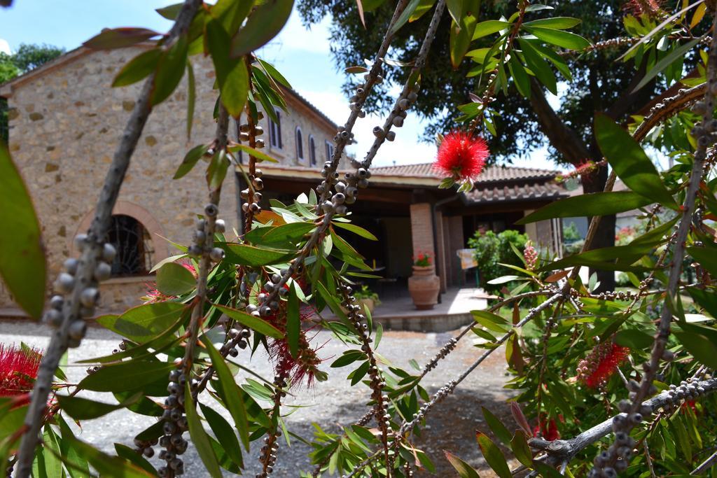 Agriturismo La Ghiraia Santa Luce Værelse billede