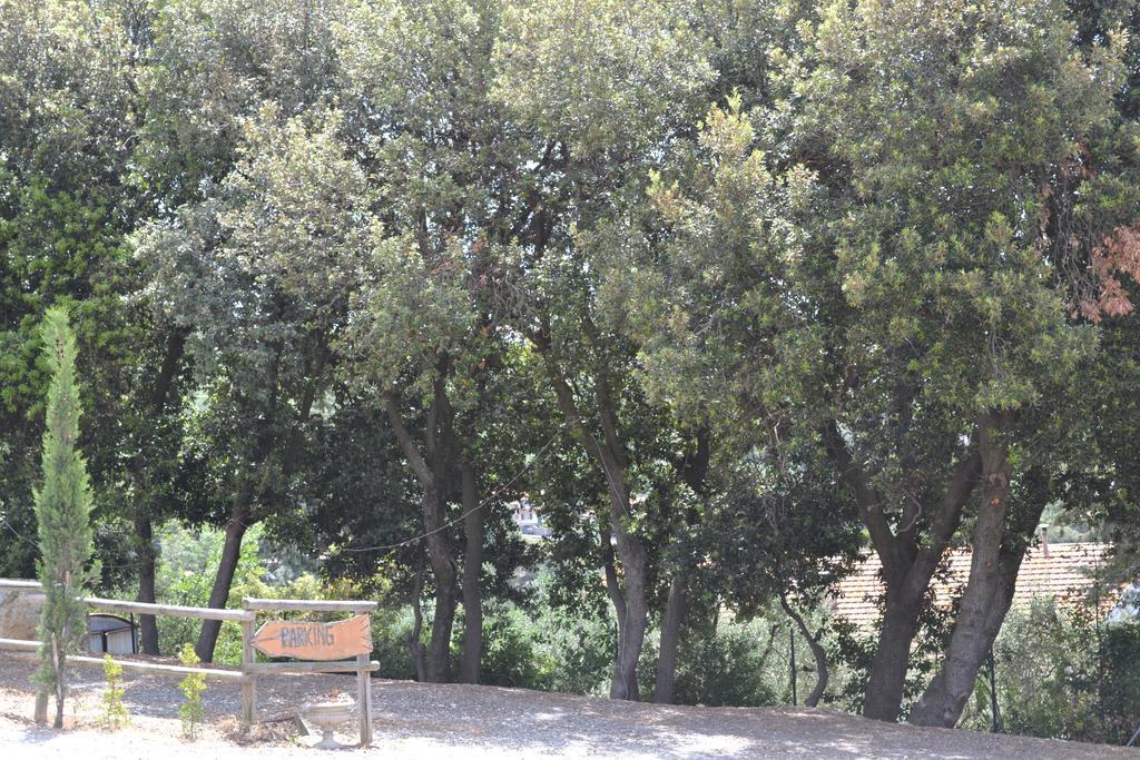 Agriturismo La Ghiraia Santa Luce Eksteriør billede