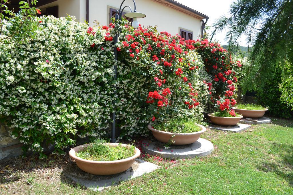 Agriturismo La Ghiraia Santa Luce Eksteriør billede