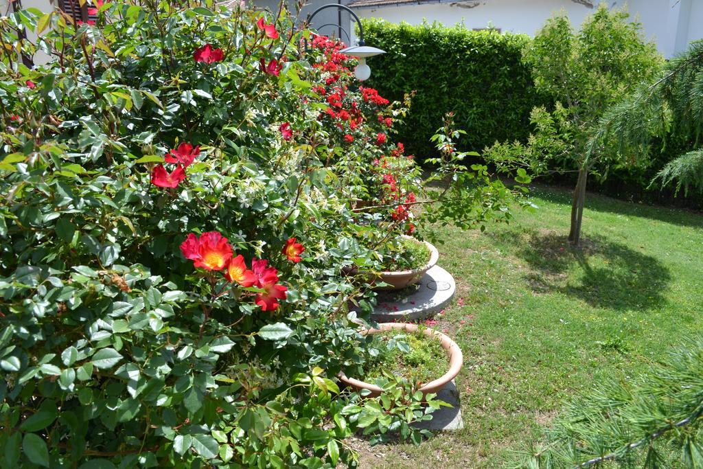 Agriturismo La Ghiraia Santa Luce Eksteriør billede